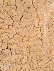Cracked earth on dry season for texture and background