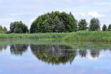 Fototapeta na wymiar Uferlandschaft spiegelt sich im See
