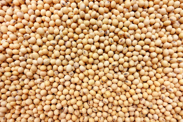 Soy beans for background