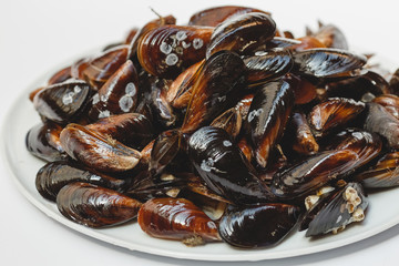 Fresh mussels on white background for the menu 