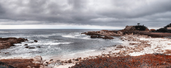 Walks in Monterey, California shots, USA