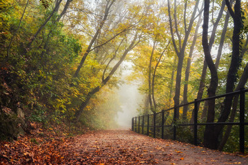 Foggy autumn morning in Budapest, Hungary