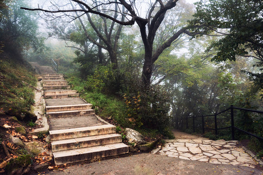 Autumn in Budapest on Gellert Hill: foggy morning in the park with old stone stairs