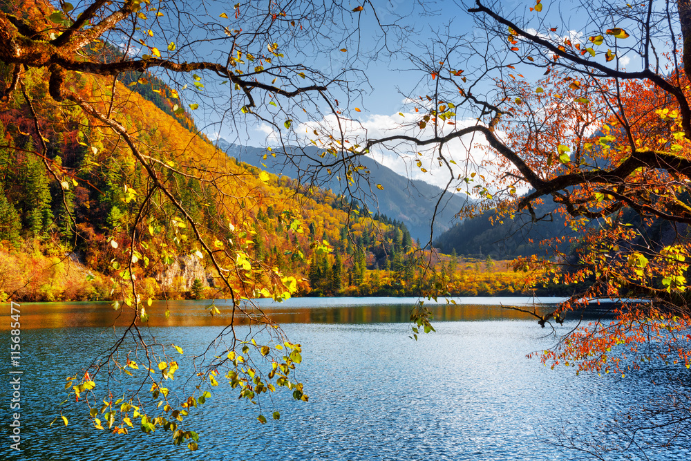 Sticker amazing view of the panda lake among colorful fall forest