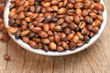barley tea