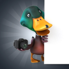 Duck