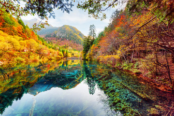 Wonderful view of the Five Flower Lake among colorful fall woods