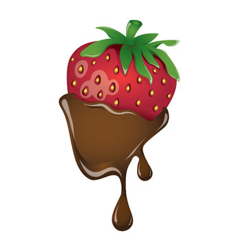 Vector of Strawberry dipped chocolate