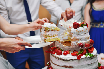 The bride and groom cut the cake