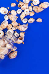 Marine seashells spill out of the bottle glass on the blue background. Space for text