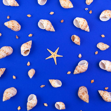 Colorful pattern of large and small seashells and starfish on a blue background