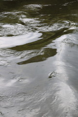 play of light in the river