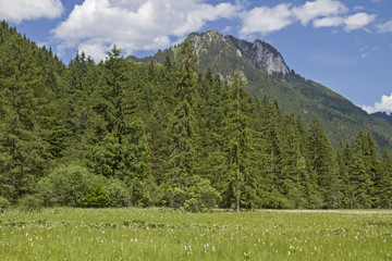 Ettaler Weidmoos mit Laber