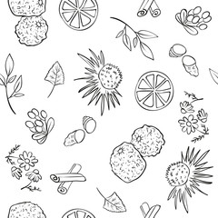 Herbal ingredients for a cup of tea. Line art style. Hand drawn cartoon design. Seamless pattern