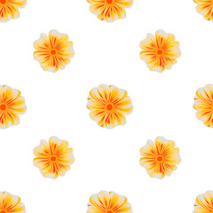 Seamless pattern with beautiful orange flowers on white background, vector illustration 