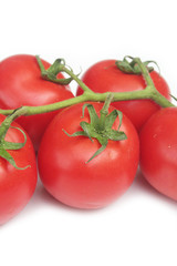 pomodori rossi tondi isolati su sfondo bianco