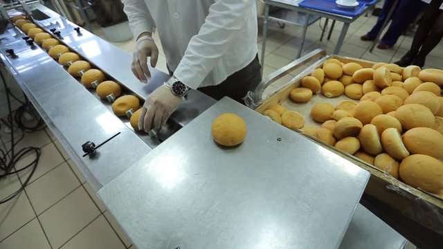 Worker puts freshly baked rolls on conveyor for hermetic packaging.