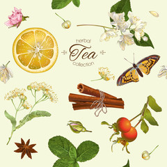 Fototapety  Vector herbal tea pattern
