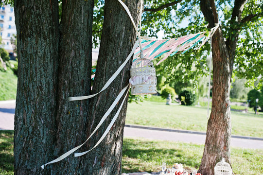Picnic decorated bird cage and colored ribbons on trees