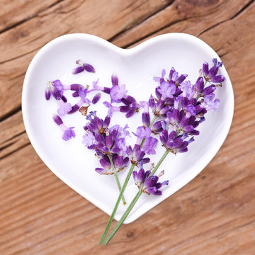 Homöopathie und Kochen mit Heilkräutern, Lavendel
