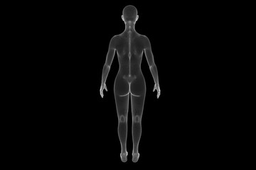 Female Human Wireframe Hologram in Motion. Nice 3D Rendering
