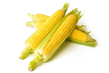 corn at the cobs isolated on white background