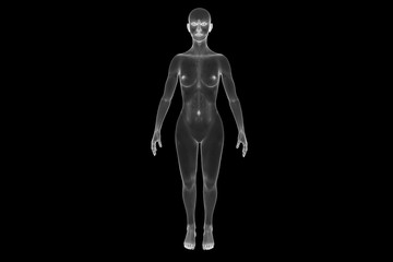 Female Human Wireframe Hologram in Motion. Nice 3D Rendering
- 115699285