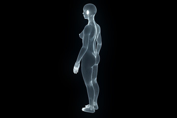 Female Human Wireframe Hologram in Motion. Nice 3D Rendering
