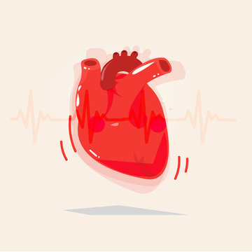 Human heart with beat - vector