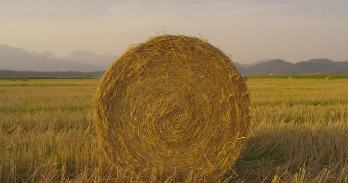 Bale of hay on a field at sunset