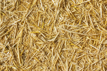 Stroh, Hintergrund, Textur