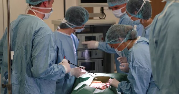 Medical students practicing surgery on model in high quality 4k format