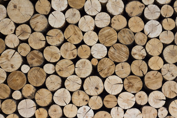 The wall of the log house. Firewood for the winter. Background