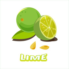 Limes with slices, leaves and seed - vector