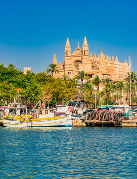 Spain Majorca view from port to the cathedral La Seu