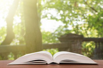 Open book over the landscape background