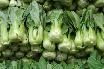 Bok choy neatly stacked for market