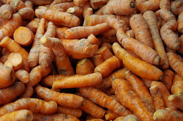 Rustic knobby orange carrots piled for market