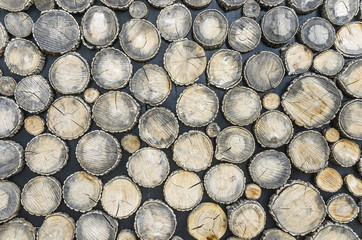 Texture from a round wood.