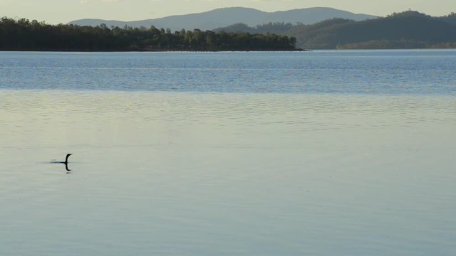Lake Wivenhoe in Queensland during the day. Apart of Wivenhoe Dam.