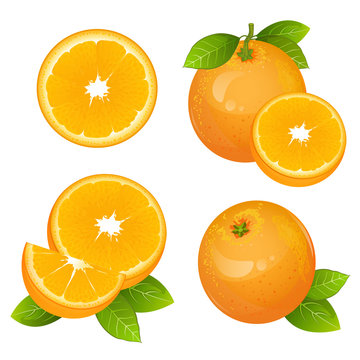 Fresh orange fruit slice set. Collection of realistic citrus vector illustrations. Juicy orange with leaves isolated on white background