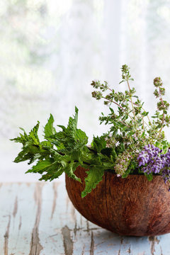 Bouquet of garden herbs