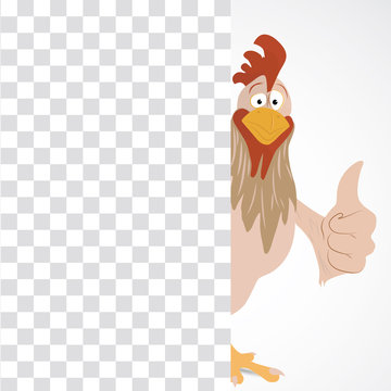 Cartoon funny rooster