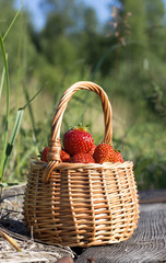 Ripe strawberries in a basket