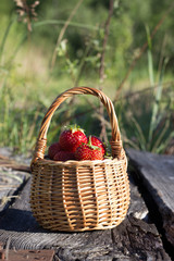 Ripe strawberries in a basket