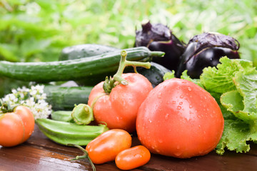 organic summer vegetables