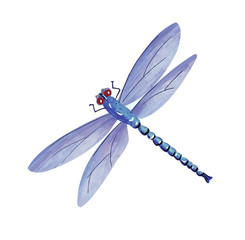 とんぼ © imgstock