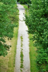 Ein von Rasen und B&auml;umen ges&auml;umter Weg durch den Park