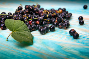 Black currant on blue wooden background