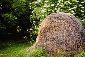 A haystack lies on the beautiful green lawn with trees